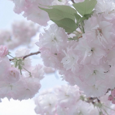 Furry绘画原创灵感福瑞交流群